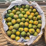 খিরসাপাত | Khirshapat