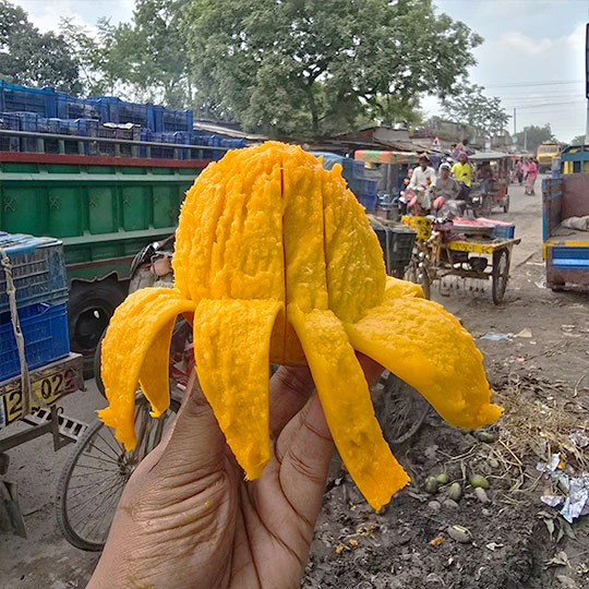 বারি-৪ | Bari-4