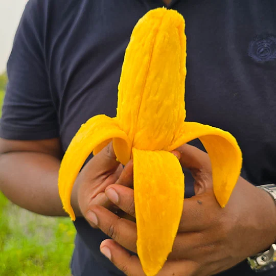 ব্যানানা আম | Banana Mango