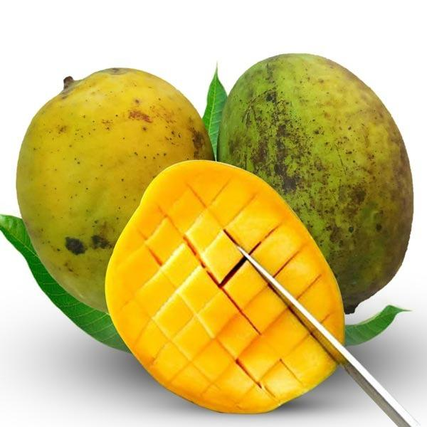 ল্যাংড়া । Langra