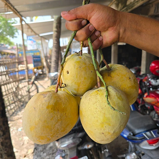 বারি-৪ | Bari-4