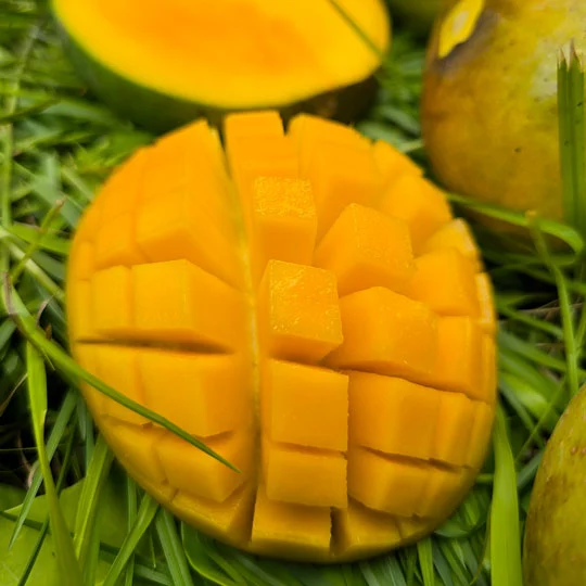 লক্ষনভোগ |  Lokkhonbhog