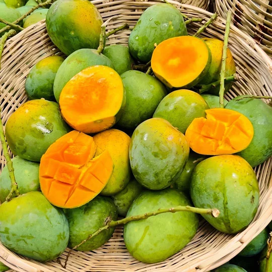 হিমসাগর । Himsagor
