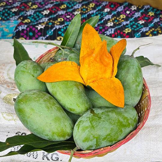 আম্রপালি | Amrapali